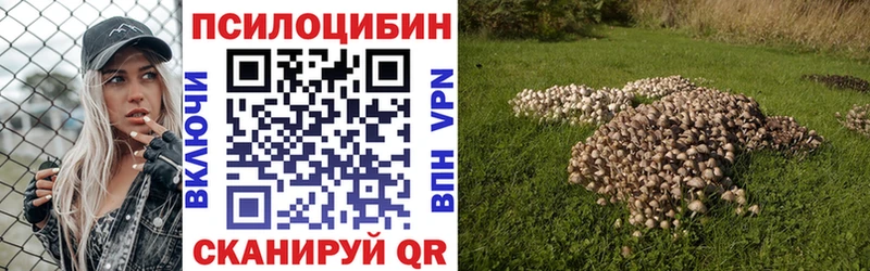 Купить  Тосно  Галлюциногенные грибы Magic Shrooms 